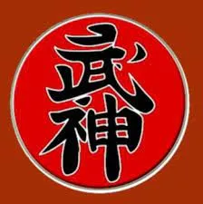 Baixar Curso Faixa Preta Ninjutsu Ninja: Domine as Técnicas