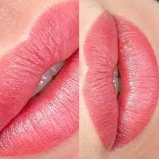AS Lip Tint V13: Baixar Método Alan Spadone Definitivo
