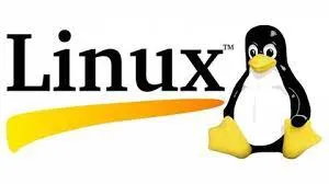 Baixar Linux Completo 2020: Usuário e Desenvolvedor