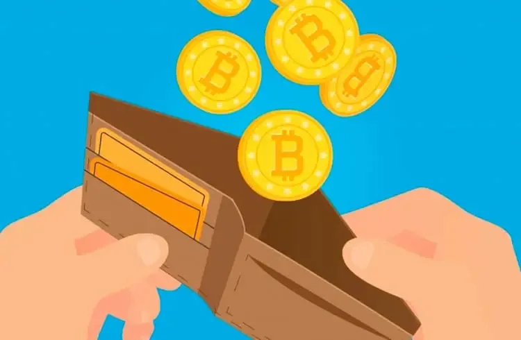Baixar Curso Bitcoin: Carteiras Seguras e Blockchain Desvendado