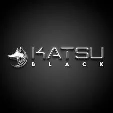 Download Katsu Mentoria Black Belt: Domine o Day Trading!
