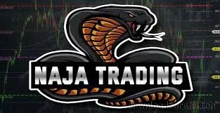 Baixar Curso Take Trader: Acesso Rápido e Completo