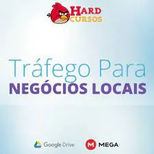 Baixar Curso Tráfego para Negócios Locais Fábio Bindes Completo