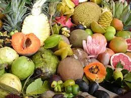 Baixar Curso Nutrição Essencial – Dr. João Silva: Guia Definitivo