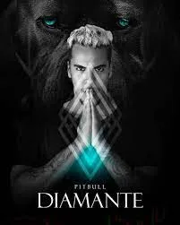 Baixar Curso Tom Freire Pitbull Diamante: Método Completo
