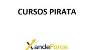 Baixar Curso Xande Force: Domine Tráfego Pago e ROI!