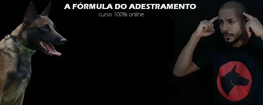 A Fórmula do Adestramento 2.0 Dionatas Piloto Download Completo