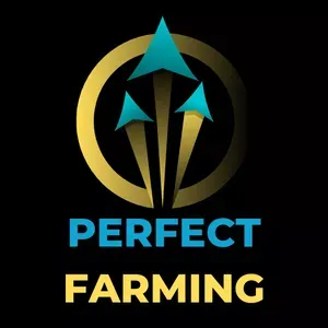 Download Perfeito: Farming Completo Tiago Rebelo [2024]