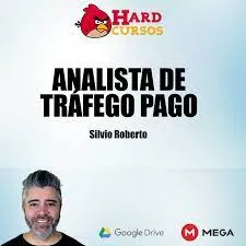 Analista de Tráfego Pago Silvio Roberto: Baixe Agora!