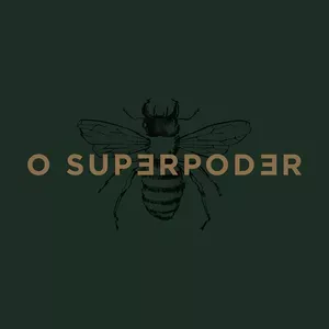 Baixar Reels Super Poderoso Paulo Cuenca: Domine o Instagram