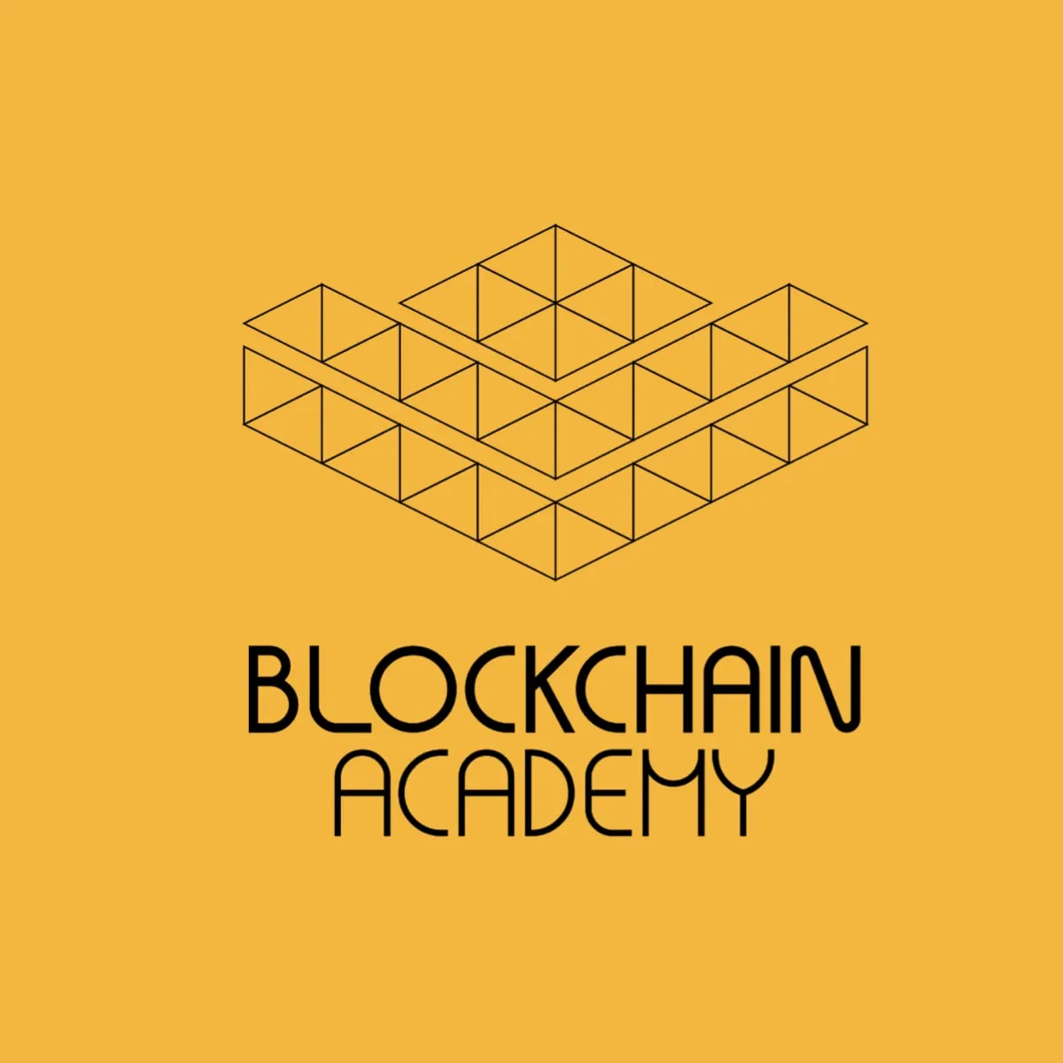 Blockchain Immersion: Baixe Agora o Curso Completo da Blockchain Academy