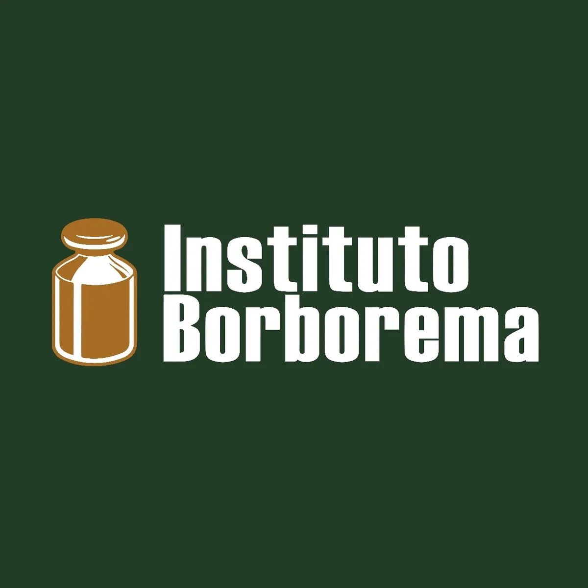 Instituto Borborema Formação Básica: Baixar Curso Completo em HD