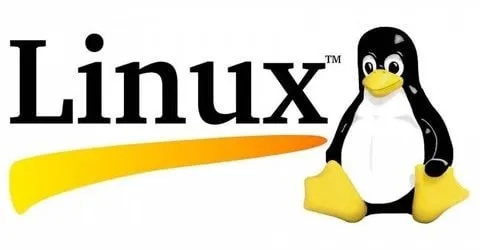 Baixar Linux Completo: Guia Definitivo (2020)
