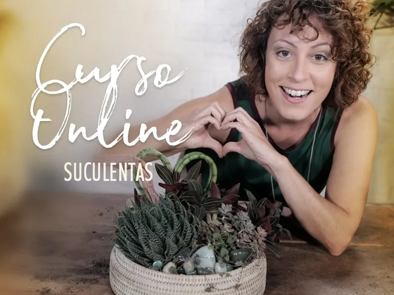 Baixar Curso Carol Costa: Arranjos com Suculentas – Aulas Completas