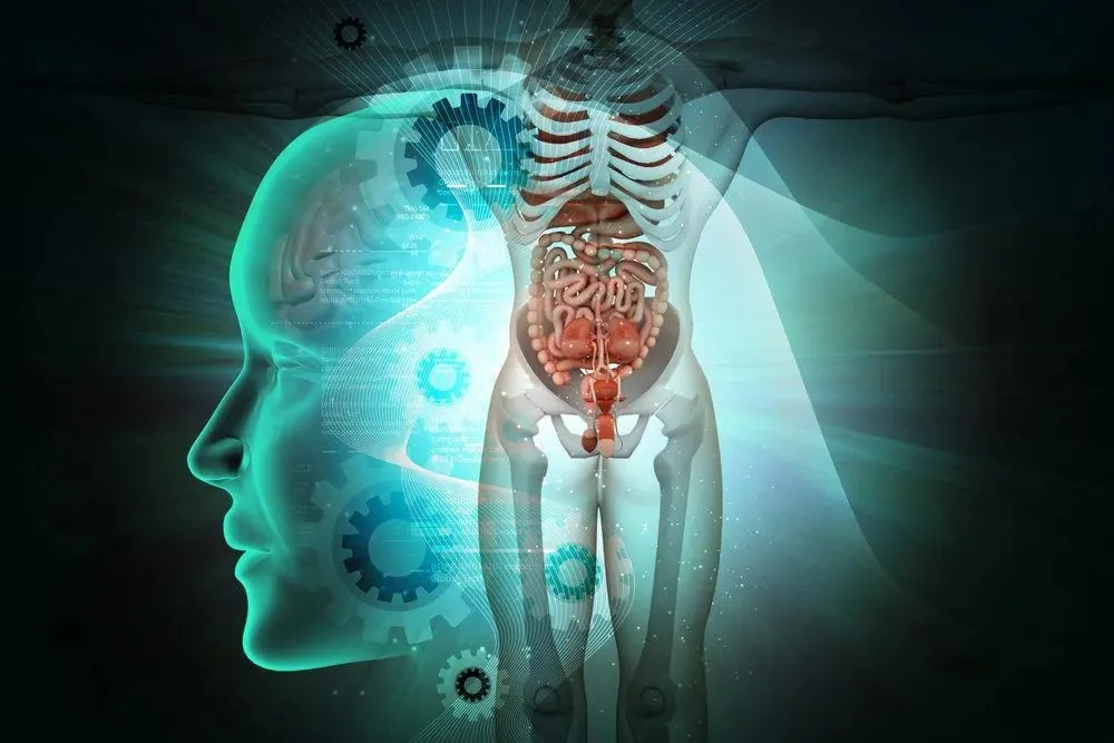 Capa: Anatomia Humana Essencial: Baixar Curso Completo em Alta Definição