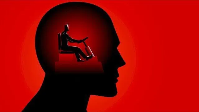 Capa: Curso de Estoicismo Epifania Experiência: Baixar Agora!