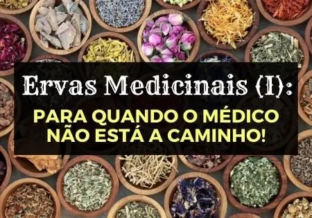 Capa: Ervas Medicinais Afonso Lopes: Baixar Curso Definitivo 2022