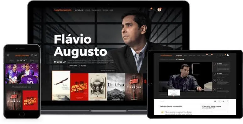 Capa: Baixe Escola de Insights Flavio Augusto: Completo + 253h