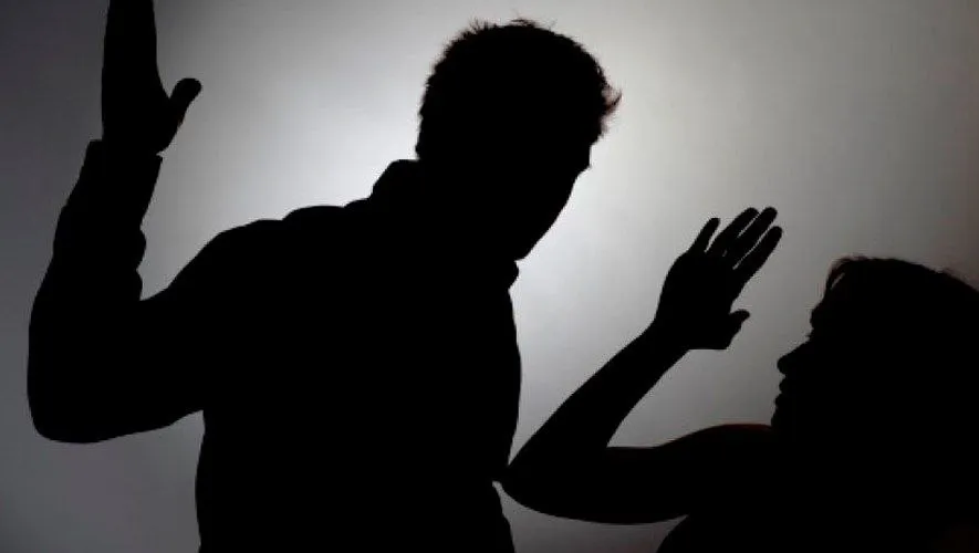 Capa: Baixar Segredos Atuação Violência Doméstica (Crime Na Prática)