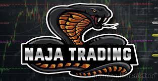 Curso Naja Trader NTG Take Certo - Conteúdo completo sobre análise técnica e operações no mercado financeiro.