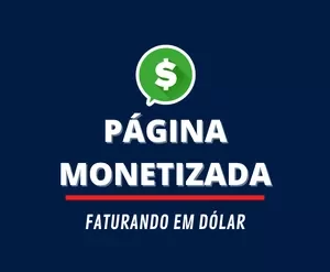Curso Página Monetizada Leandro Silva - Download Completo