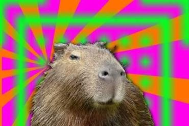 Curso CapivaraWeed: Guia Completo de Cultivo Digital